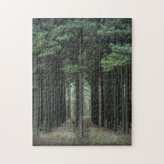 Een bos pad - nieuwe groei - bomen - pijnbomen - legpuzzel (Verticaal)