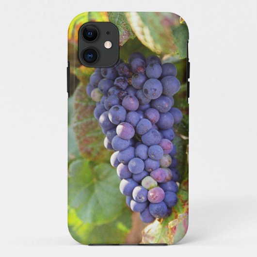 Een bos Pinot Noir-druiven in een Chambertin Case-Mate iPhone Case (Achterkant)
