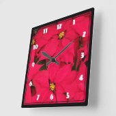 Een bos van de helder Gekleurde Poinsettia van Vierkante Klok (Hoek)