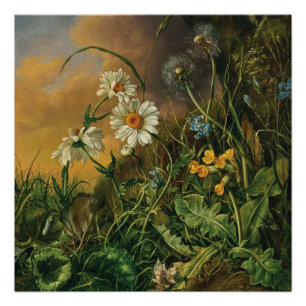 Een bosbodem met madeliefjes, primroses, ... perfect poster