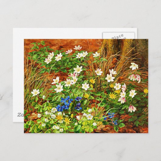 Een bosgrond met annemonen en Violet Briefkaart (Voorkant / Achterkant)