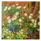 Een bosgrond met annemonen en Violet Tegeltje (Voorkant)