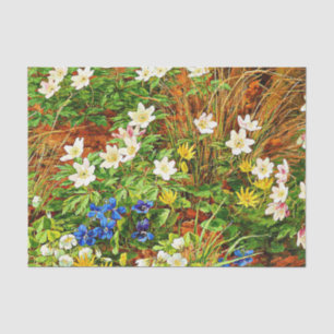 Een bosgrond met annemonen en Violet Tissuepapier