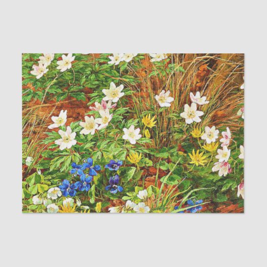 Een bosgrond met annemonen en Violet Tissuepapier (Voorkant)