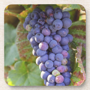 Een bosje Pinot Noir-druiven in een Chambertin Drankjes Onderzetter