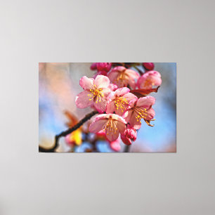 Een bosje zoete Sakura-kersenbloesems in de lente Canvas Afdruk