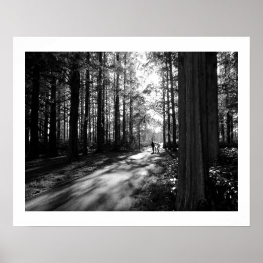 Een boslopen: Mizumoto Park, Tokio Poster (Voorkant)