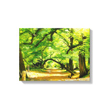 Een bospad, Robin Hood Forest