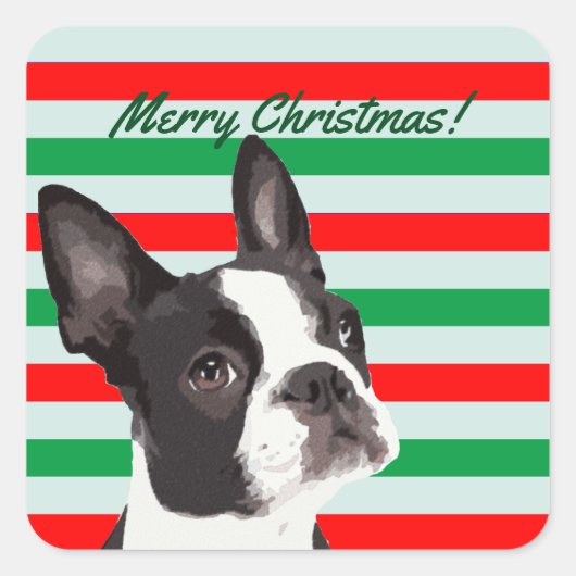 Een Boston Terrier Vrolijk Kerstfeest Vierkante Sticker (Voorkant)