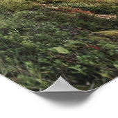 Een breed uitzicht op de avond - Hordaland, Noorwe Poster (Hoek)