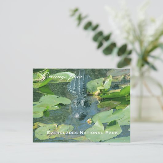 Een briefkaart groet van het nationale park Evergl (Staand voorkant)