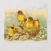 Een  Briefkaart met vreugde Pasen (Voorkant)