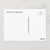 Een Briefkaart van een paar van pileated Woodpecke (Achterkant)