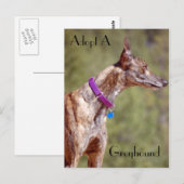 Een Briefkaart van Greyhound aannemen (Voorkant / Achterkant)