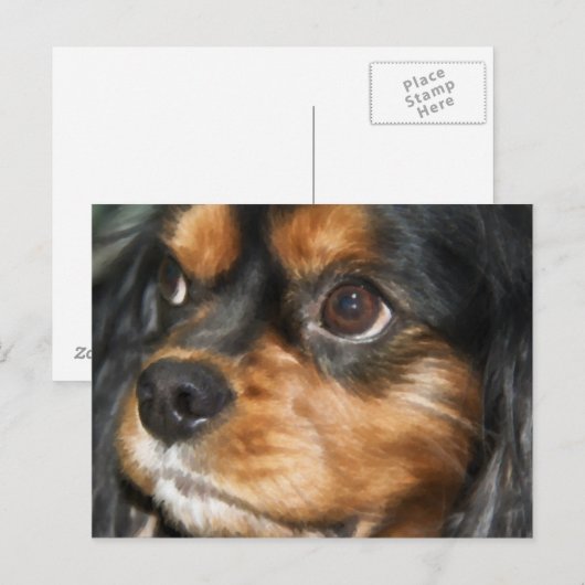 Een Briefkaart van Loyal Dog Cavalier King Charles (Voorkant / Achterkant)