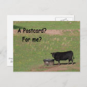 Een Briefkaart? Voor mij? Briefkaart (Voorkant / Achterkant)