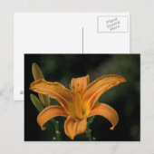 Een Briefkaart voor tuinonderhoud (Voorkant / Achterkant)