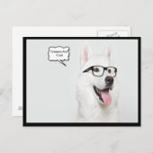 Een bril is een coole hond briefkaart (Voorkant / Achterkant)