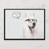Een bril is een coole hond briefkaart (Voorkant)