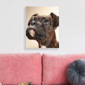 Een Brindle Boxer puppy die vreemd opkijkt. Canvas Afdruk (Insitu (Woonkamer))