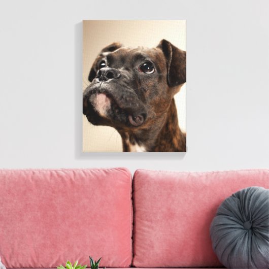 Een Brindle Boxer puppy die vreemd opkijkt. Canvas Afdruk (Insitu (Woonkamer))