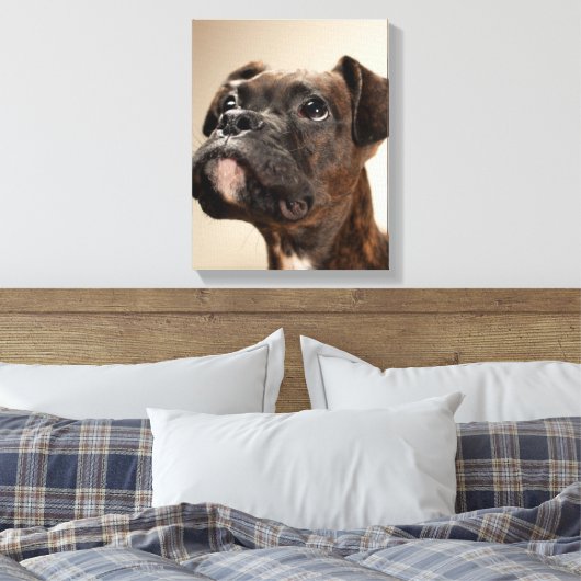 Een Brindle Boxer puppy die vreemd opkijkt. Canvas Afdruk (Insitu (Slaapkamer))