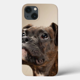 Een Brindle Boxer puppy die vreemd opkijkt. Case-Mate iPhone Case