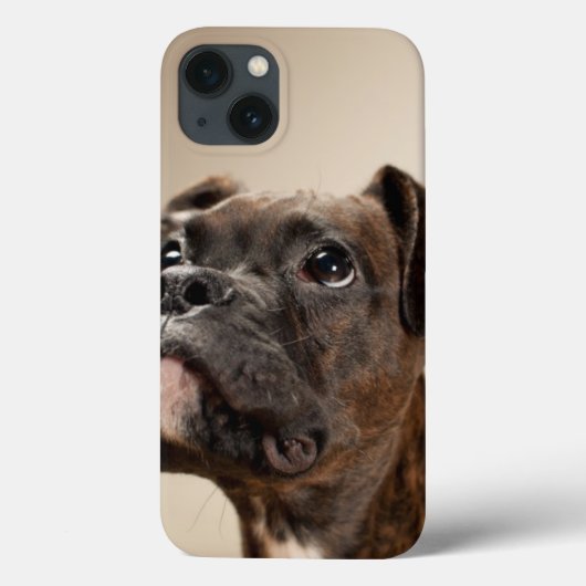 Een Brindle Boxer puppy die vreemd opkijkt. Case-Mate iPhone Case (Achterkant)