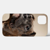 Een Brindle Boxer puppy die vreemd opkijkt. Case-Mate iPhone Case (Achterkant (horizontaal))
