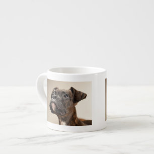 Een Brindle Boxer puppy die vreemd opkijkt. Espresso Kop