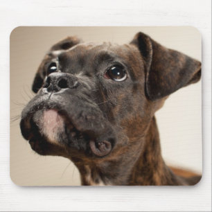 Een Brindle Boxer puppy die vreemd opkijkt. Muismat