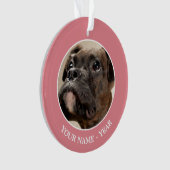 Een Brindle Boxer puppy die vreemd opkijkt. Ornament (voorkant)