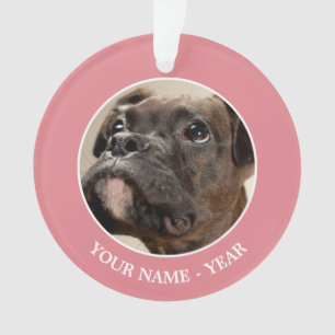 Een Brindle Boxer puppy die vreemd opkijkt. Ornament
