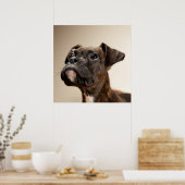 Een Brindle Boxer puppy die vreemd opkijkt. Poster (Keuken)
