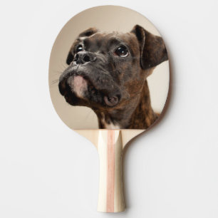 Een Brindle Boxer puppy die vreemd opkijkt. Tafeltennisbatje