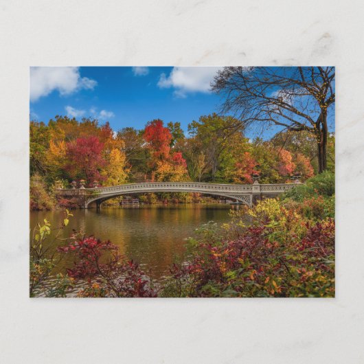 Een brug in Central Park Briefkaart (Voorkant)