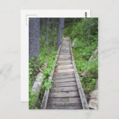 Een brug in de bossen briefkaart (Voorkant / Achterkant)