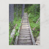 Een brug in de bossen briefkaart (Voorkant)