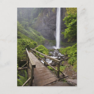 Een brug over de Columbia rivier en de Herfsten va Briefkaart