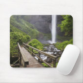 Een brug over de Columbia rivier en de Herfsten va Muismat (Met muis)