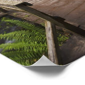 Een brug over de Columbia rivier en de Herfsten va Poster (Hoek)