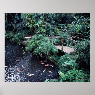 Een brug over een goudvisvijver omgeven door poster