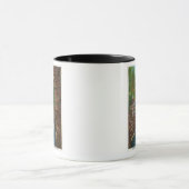 Een bruikbaar chassis uit de Cave van Hyde omlaag  Mok (Midden)