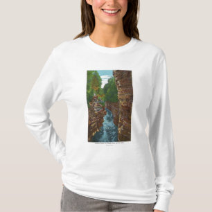 Een bruikbaar chassis uit de Cave van Hyde omlaag T-shirt