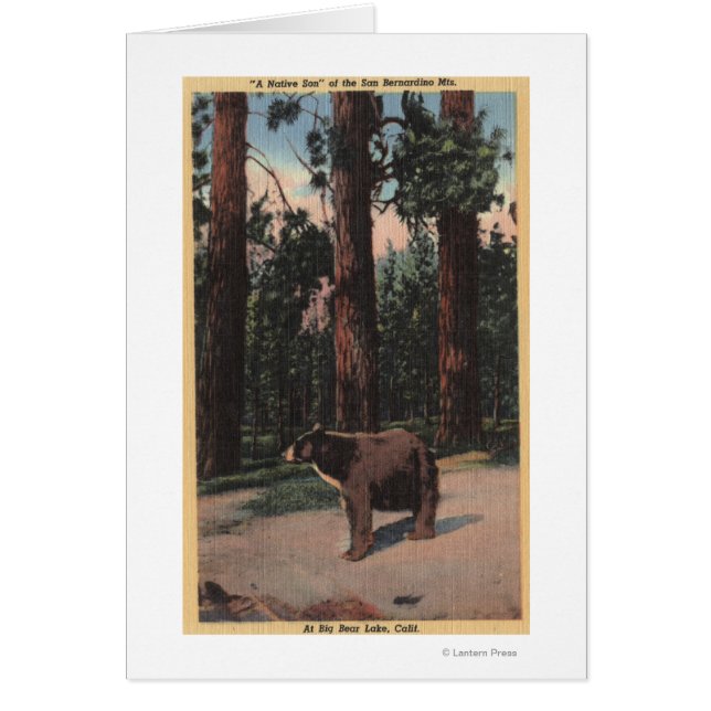 Een bruin Beer in de Bossen (Voorkant)