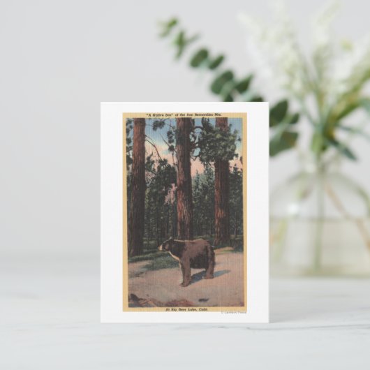 Een bruin Beer in de Bossen Briefkaart (Staand voorkant)