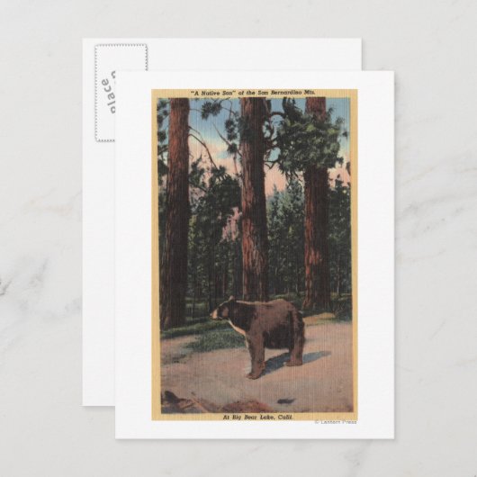 Een bruin Beer in de Bossen Briefkaart (Voorkant / Achterkant)