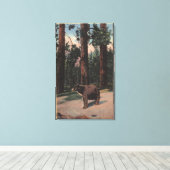 Een bruin Beer in de Bossen Canvas Afdruk (Insitu (Houten vloer))
