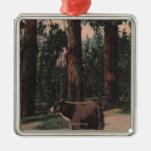 Een bruin Beer in de Bossen Metalen Ornament
