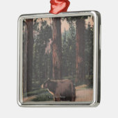 Een bruin Beer in de Bossen Metalen Ornament (Links)